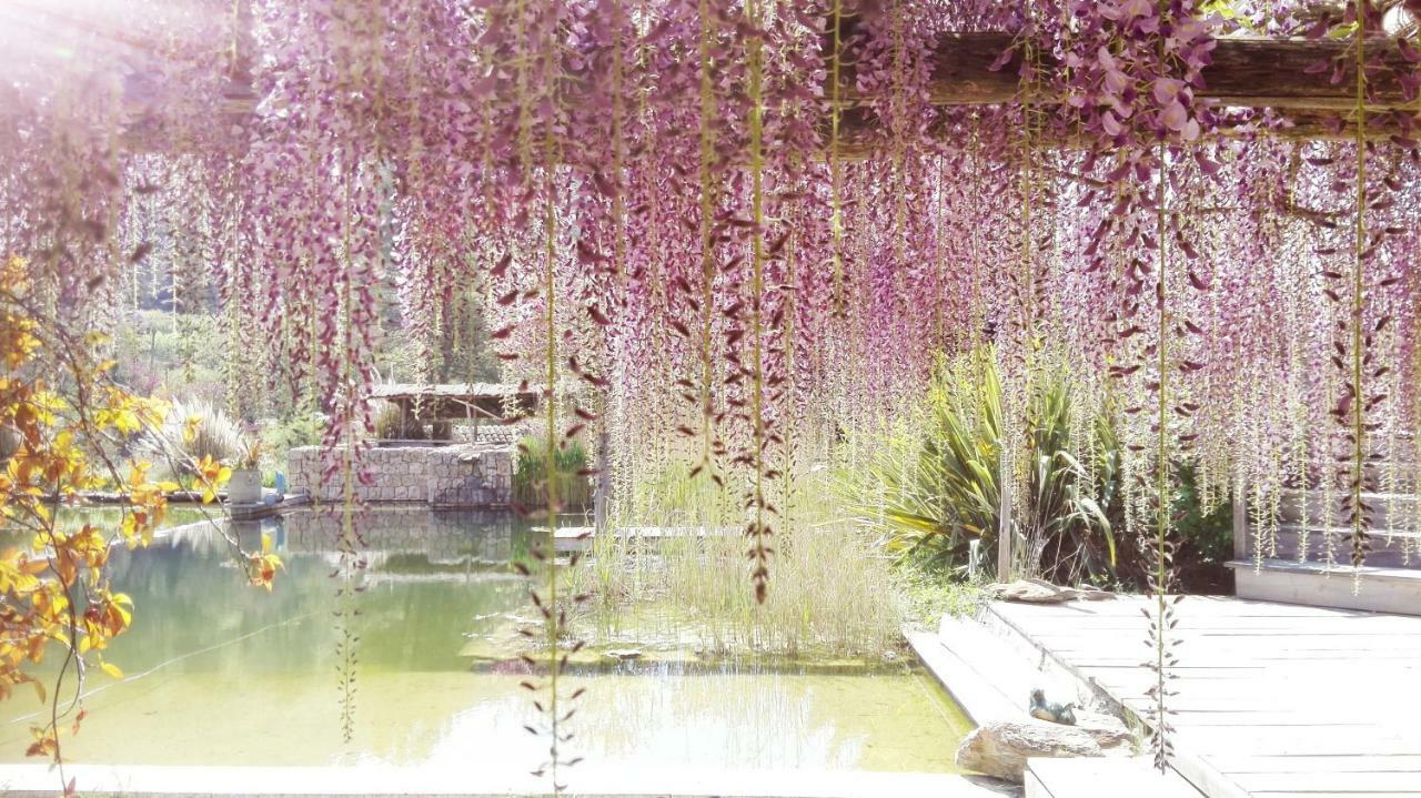 Mas La Jaina Bed & Breakfast Bargemon Dış mekan fotoğraf