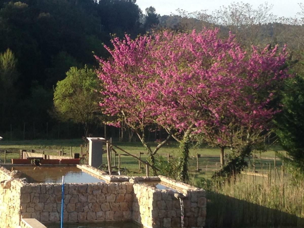Mas La Jaina Bed & Breakfast Bargemon Dış mekan fotoğraf