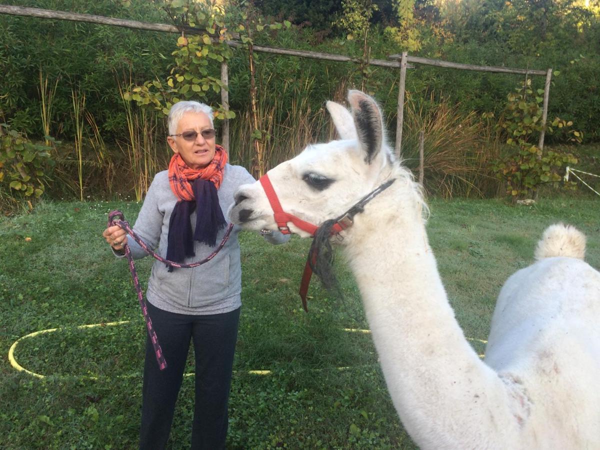 Mas La Jaina Bed & Breakfast Bargemon Dış mekan fotoğraf